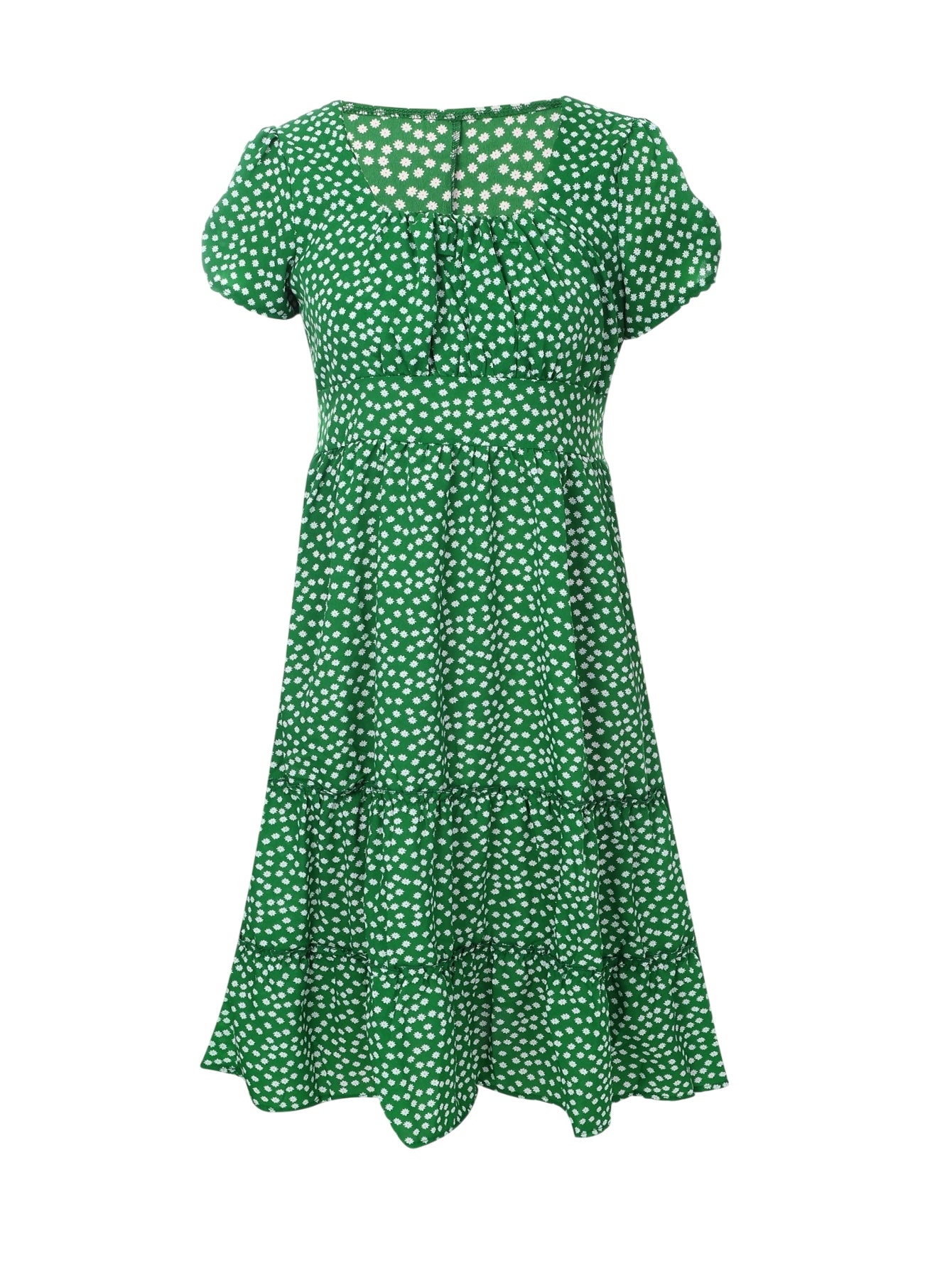 Lapa Plus Women's Floral Print Fashionable Dress